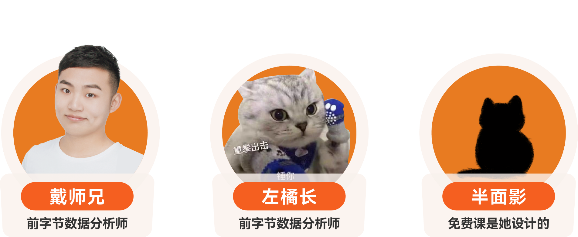 戴师兄、左橘长、半面影核心教学团队